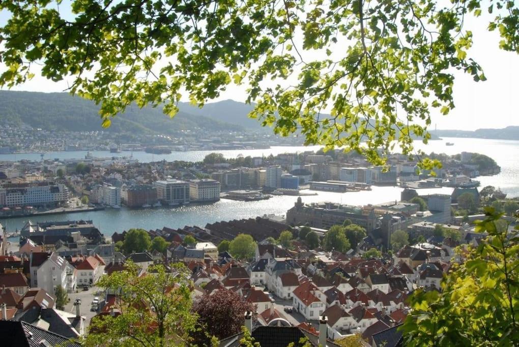 New! Modern City Apt: Central W/ Private Entrence Bergen Esterno foto
